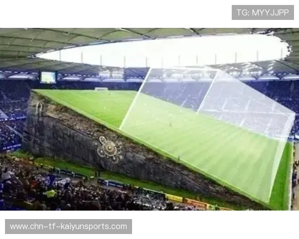 球场翻修项目吸引社会资本参与竞标