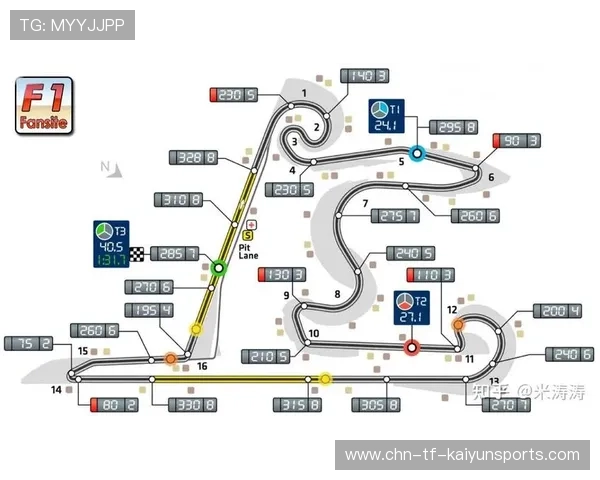 F1关键赛道技术与策略数据化研究（469 ）
