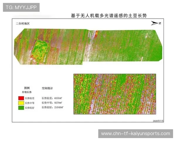 职业运动员生物监测数据对伤病预防周期的精准评估